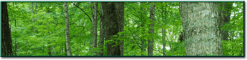 Welcome To Lake States Lumber Association - Objectives Of Biochemistry & Forestry (795x194), Png Download