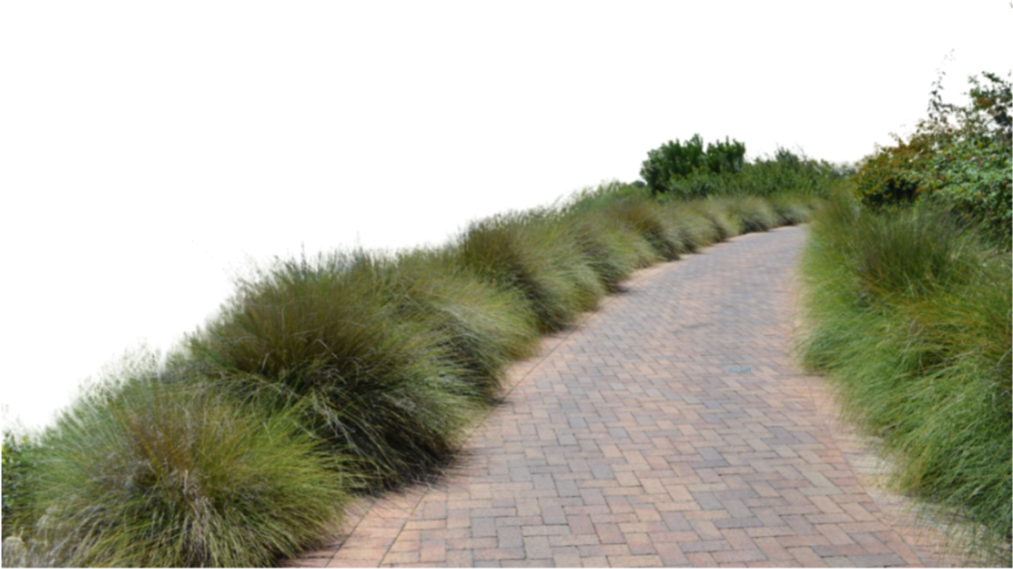 Go To Image - Grass Path Png (1098x727), Png Download