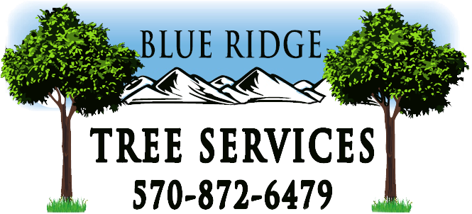 Download Blue Ridge Tree Services - Full Size PNG Image - PNGkit