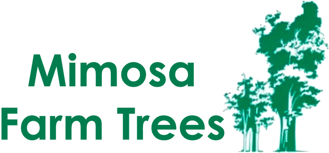 Spiritual Warfare: How To Pray - Intercessory Prayer (1085x503), Png Download