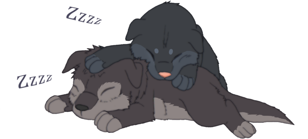 Eren And Mikasa Baby Wolf Cubs - Anime Wolf Pups Sleeping (1024x552), Png Download