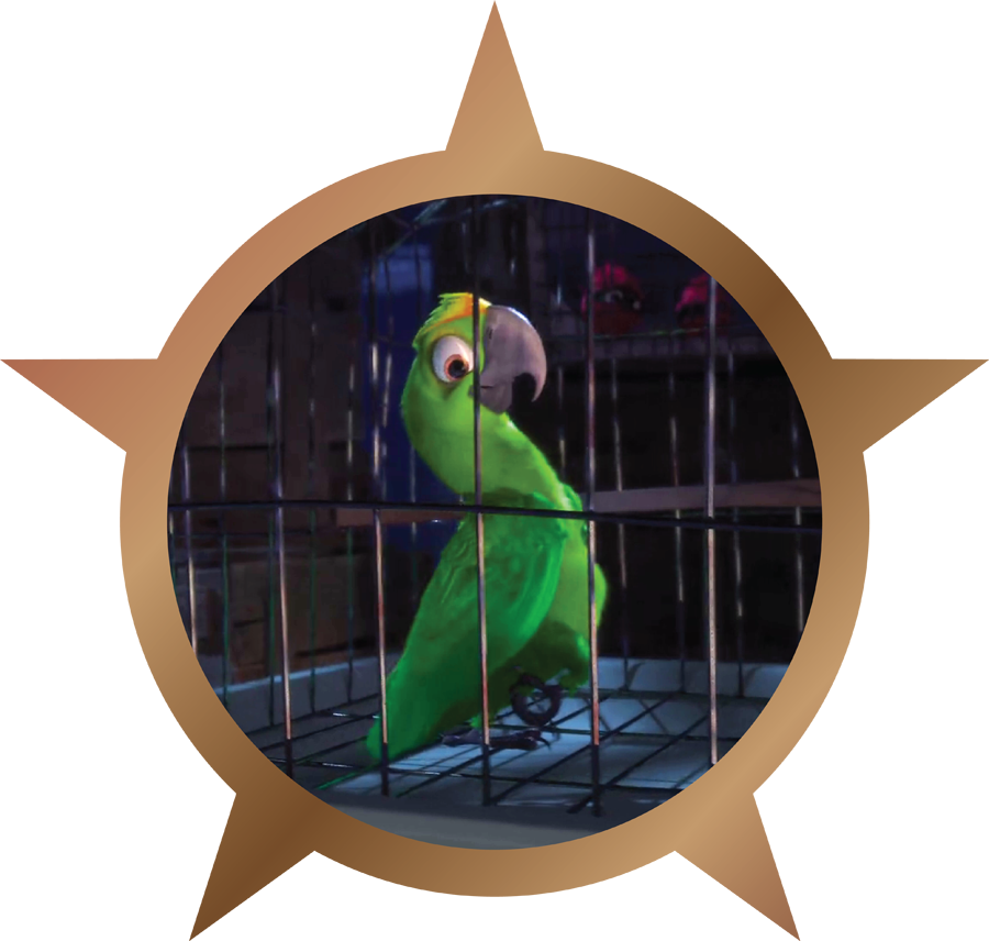 Crazy Bird - Bronze (900x856), Png Download