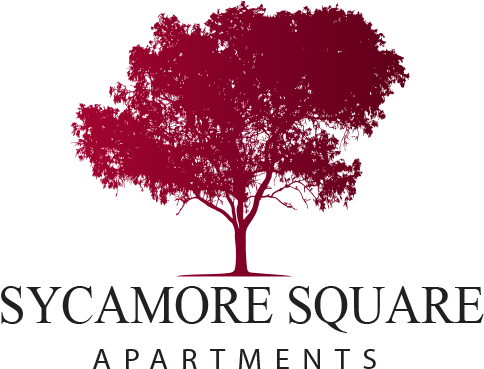 First And Last Name - Australian Gum Tree Silhouette (505x401), Png Download