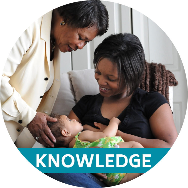 African American Breastfeeding Mother Receives Lactation - Breastfeeding Knowledge (800x800), Png Download