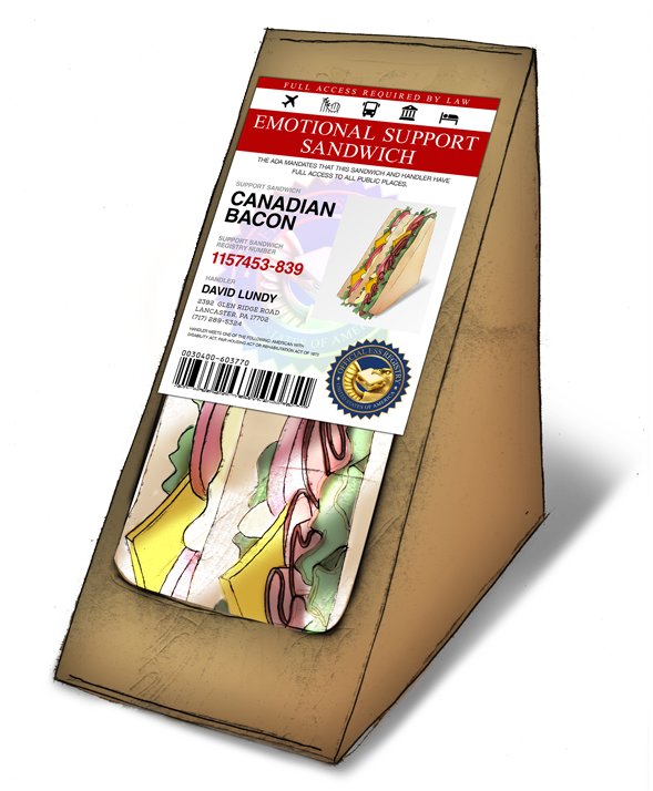 Illustration - Idea (600x713), Png Download