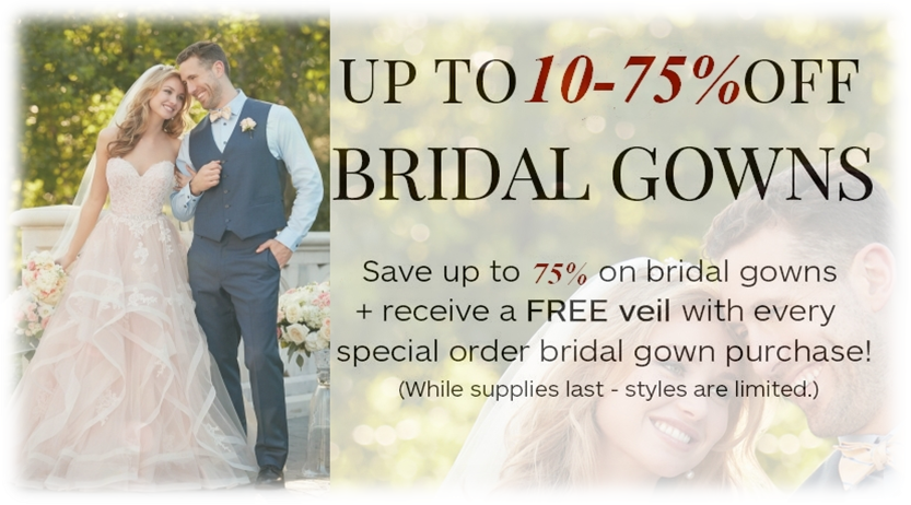 Free Bride Veil Png - Bsa Sweet 223 (833x462), Png Download