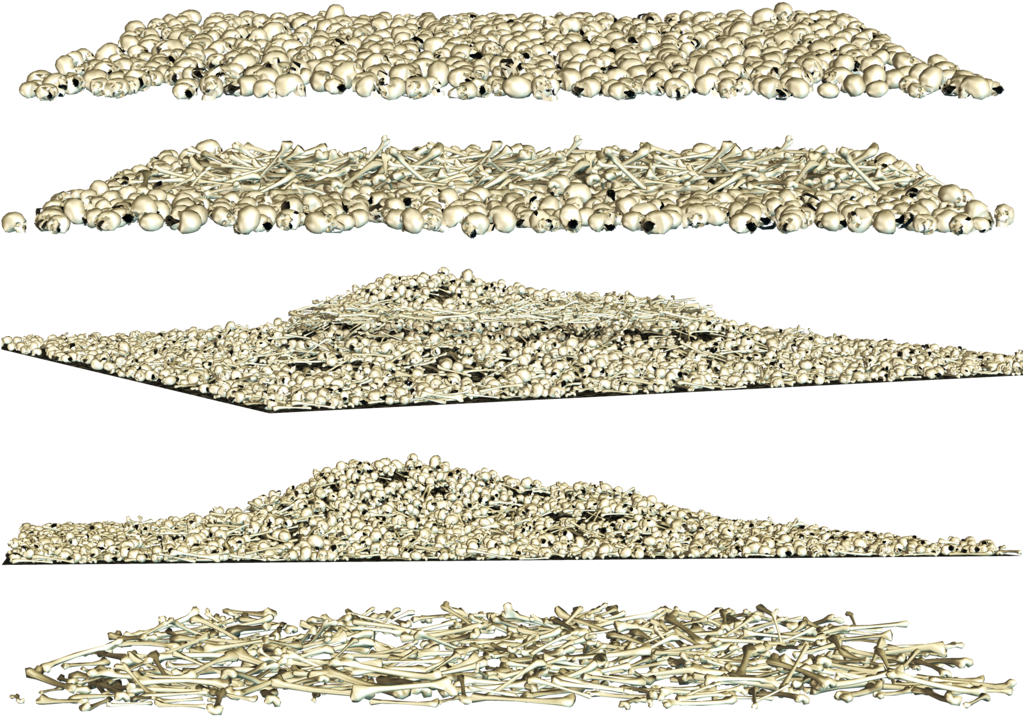 Fish Bone Png (1024x768), Png Download