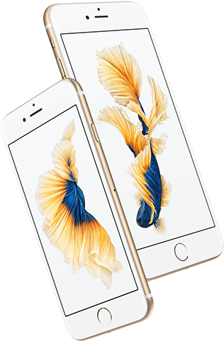 And A Distinctive New Rose Gold Finish Joins The Existing - Pay As You Go Iphone 6s Plus Silver (329x500), Png Download