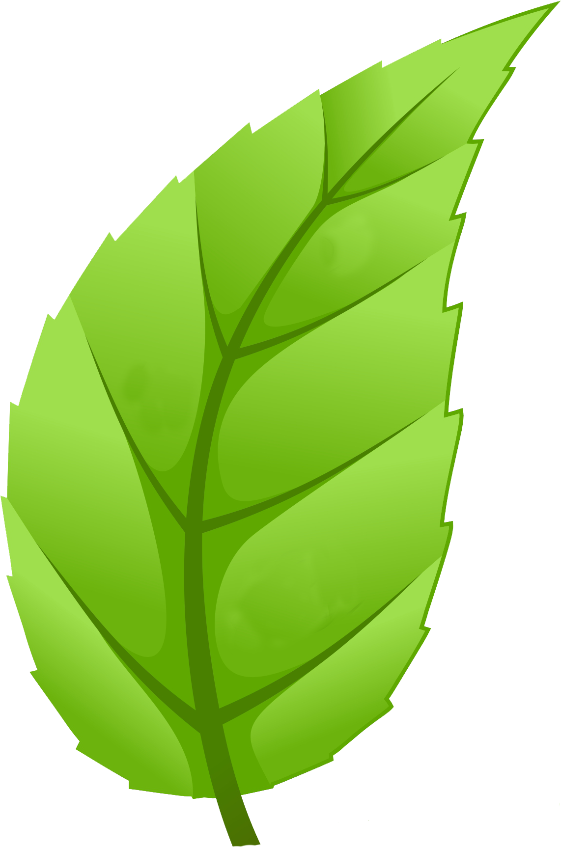 Healthy Communities - Leaf Trees Png (1416x1866), Png Download