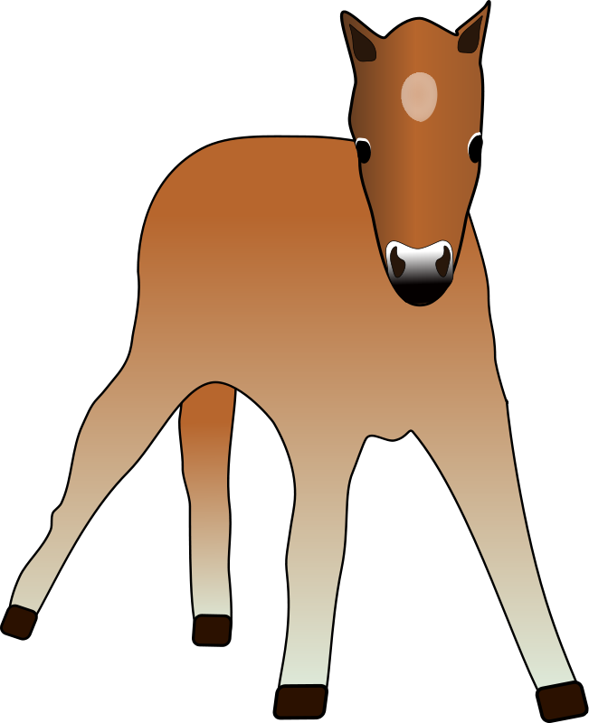 Young Foal Png Images 488 X - Foal Clipart (488x600), Png Download