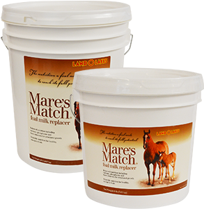 Foal Milk Replacer - Land O'lakes Mares Match Foal Milk Replacer, 8 Lb. (300x430), Png Download