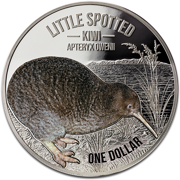 View Large Image - Kiwi (600x600), Png Download
