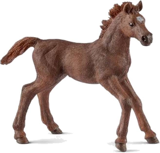 Schleich 13857 (700x700), Png Download