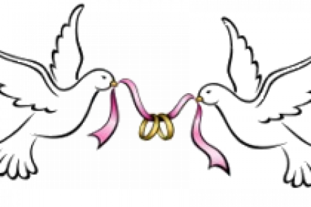 Wedding Doves Png - Wedding Doves With Rings (450x300), Png Download
