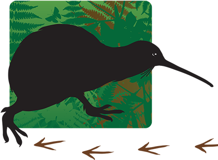 'follow The Kiwi' Monthly Sponsorship - Hummingbird (450x451), Png Download