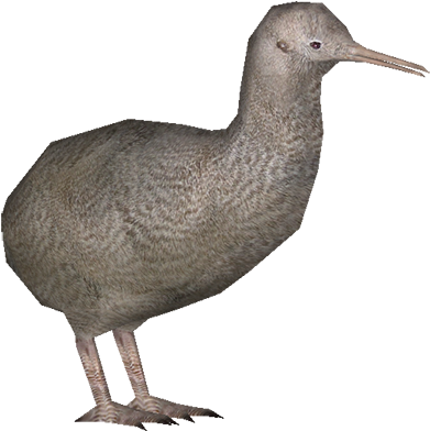 Kiwi - Little Spotted Kiwi Png (600x607), Png Download