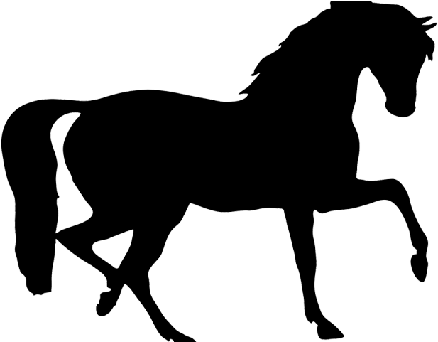 Foal Clipart Small Horse - Daryl The Pony Of Love (640x480), Png Download