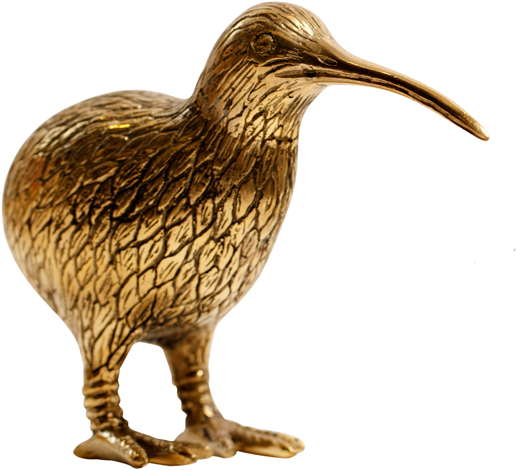 More Views - Kiwi (1228x1228), Png Download