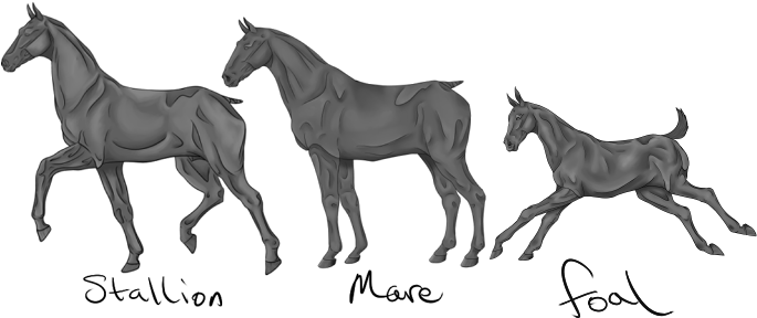 Artbanner6 - Archive (700x300), Png Download