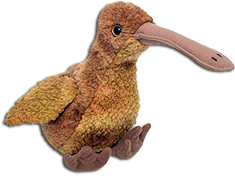 Ty Beanie Babies Beak The Kiwi Bird Stuffed Animal - Kiwi Beanie Baby (800x608), Png Download