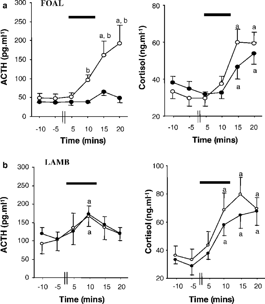 Pituitary-adrenal Responses To Acute Hypotensive Stress - Diagram (850x975), Png Download
