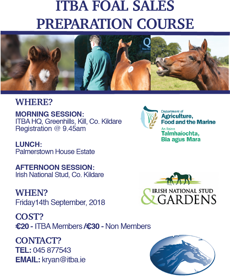 Superb Line Up Of Industry Experts - Irish National Stud (799x969), Png Download
