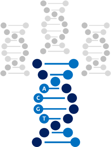 Overview - Espiral Adn Icono (483x618), Png Download