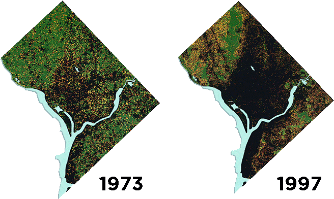 Aerial Images Of Dc From 1973 And - Casey Trees (700x444), Png Download