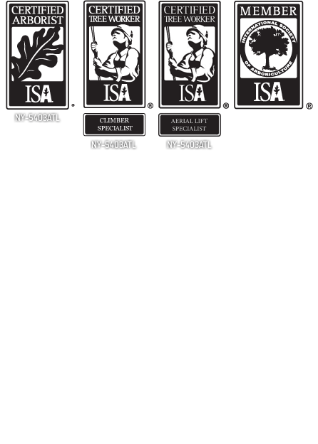 Named - Cartoon (446x624), Png Download