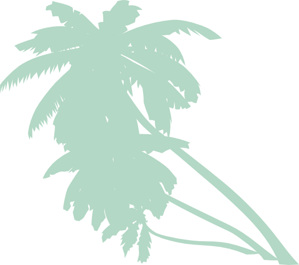 Animated Palm Tree Png (600x533), Png Download