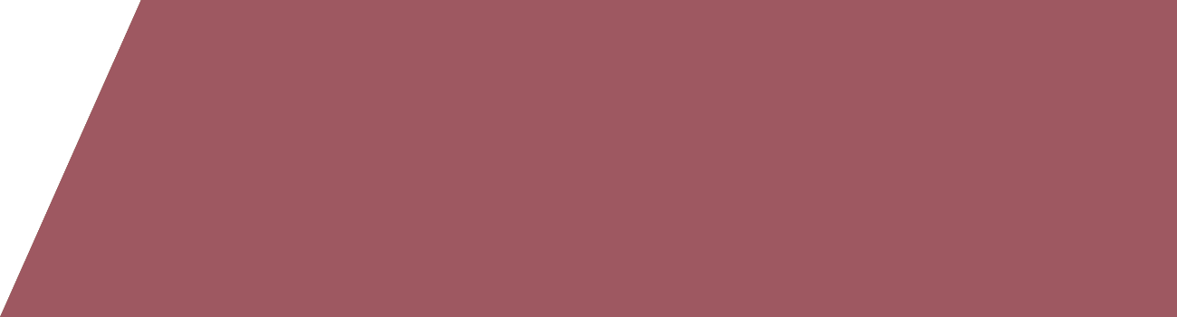 Nut (1300x350), Png Download