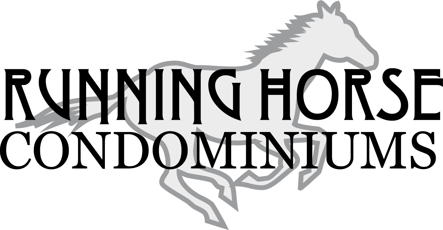 Horse (1533x798), Png Download