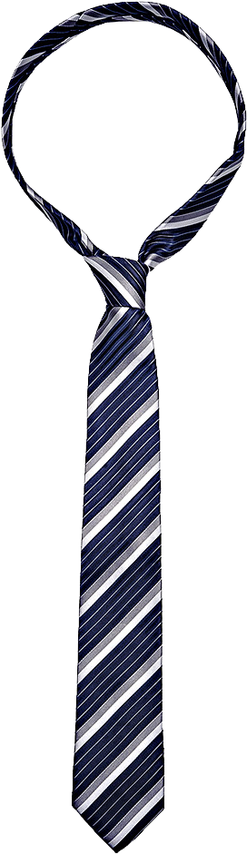 Tie Png Image - Tie With Transparent Background (272x941), Png Download