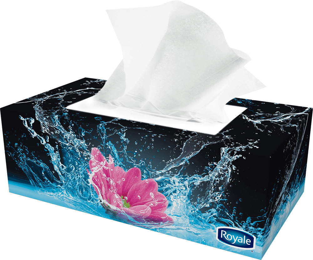 Previous - Next - Tissue Box Design Png (1000x833), Png Download