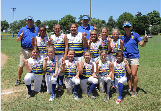 2018 Area 2 10u District Champion Peachtree Annual (960x375), Png Download