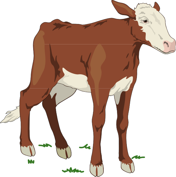 Baby Cow Clipart (594x598), Png Download