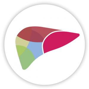 Global Non-alcoholic Steatohepatitis Market - Workshop (300x300), Png Download
