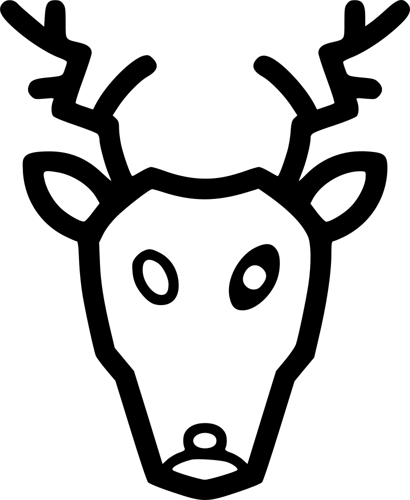 Wild Animal - - Drawing (804x980), Png Download