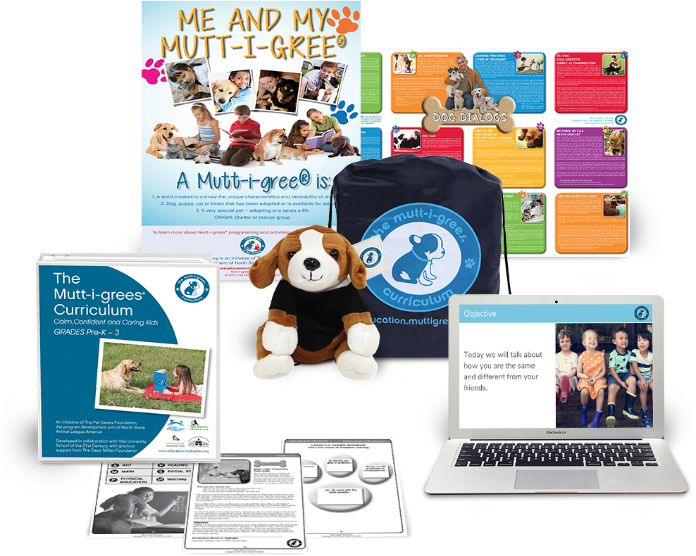  -  - Baby Toys (1000x1000), Png Download