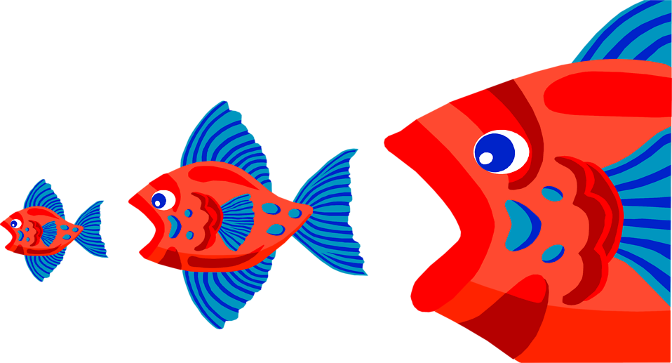 Free Stock Photo - Fish Eating Smaller Fish (958x517), Png Download