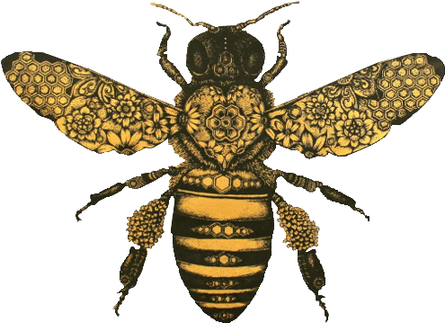 Honeybee And The Moth (500x389), Png Download