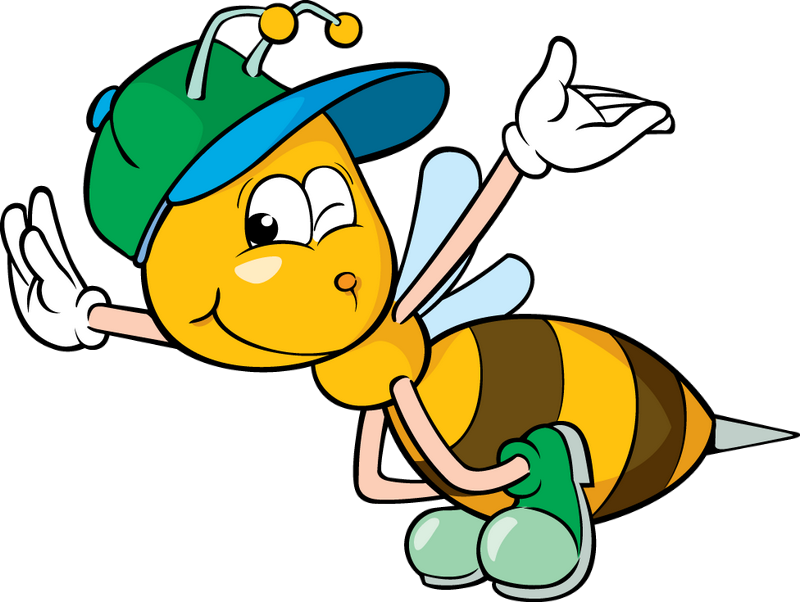 Bee Cartoon - Chị Ong Nâu (800x602), Png Download