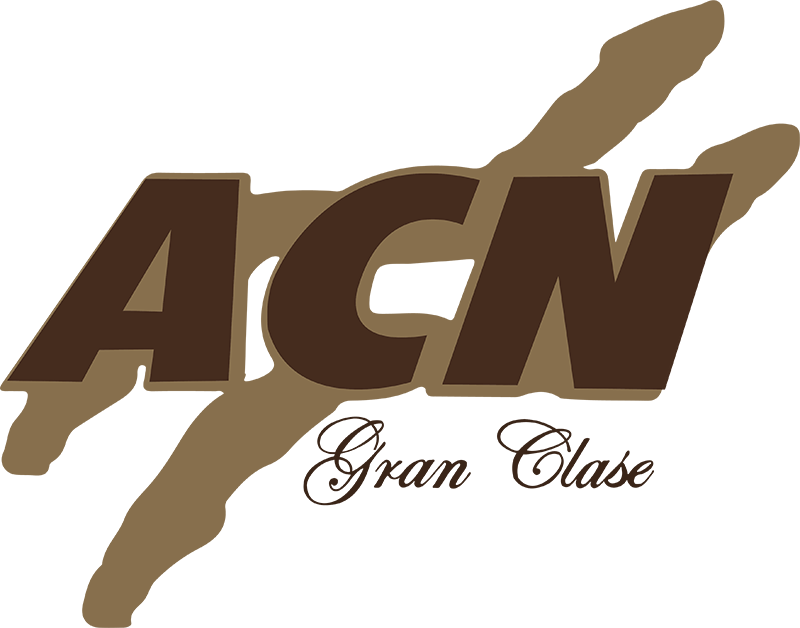 Acn Gran Clase Show - Calligraphy (800x628), Png Download