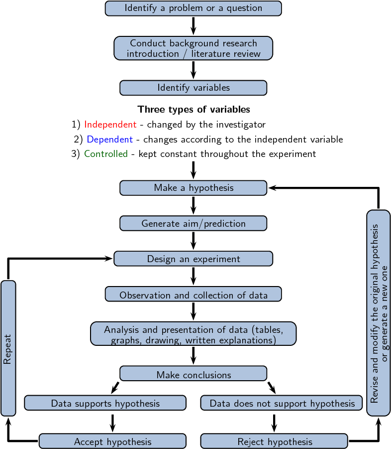 Figure - Science (813x967), Png Download
