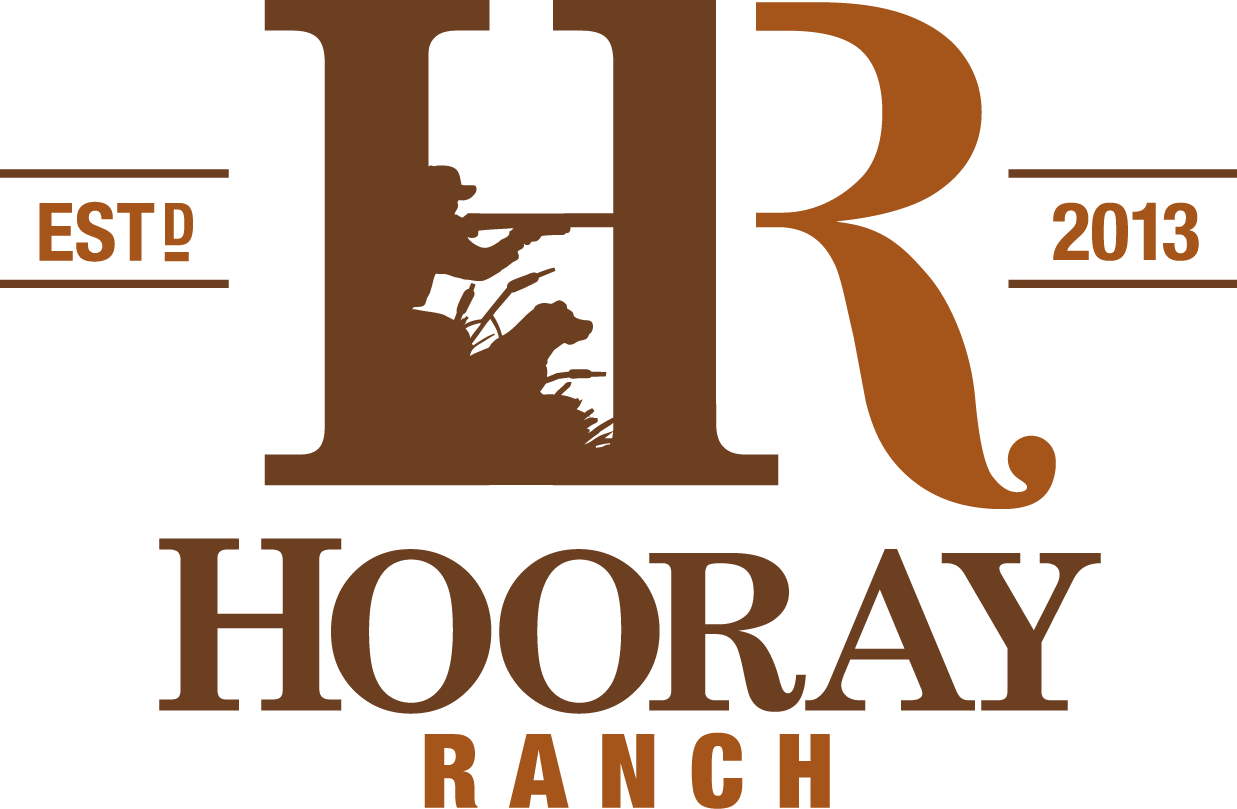 Hooray Ranch - Kansas Heart Hospital (1237x809), Png Download