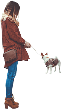 Wan With Dog Png (323x480), Png Download