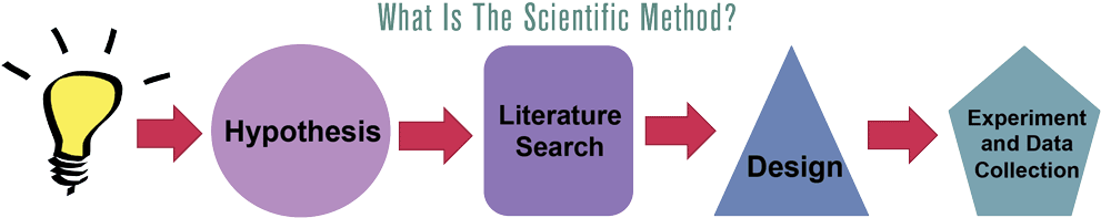 What Is The Scientific Method - Light Bulb Clip Art (1000x208), Png Download