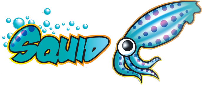 Squid Proxy (686x290), Png Download