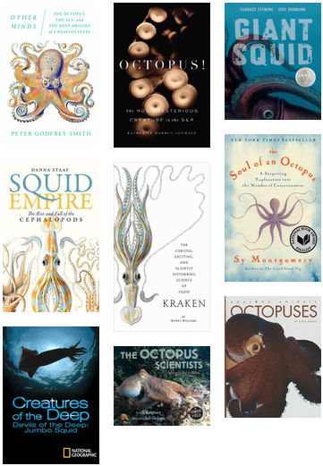 Squid Empire - The Rise And Fall (436x566), Png Download