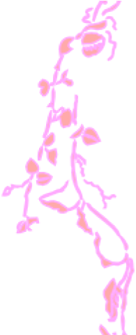 Pink Borders Cliparts - Page Borders In Black Flowers (640x480), Png Download